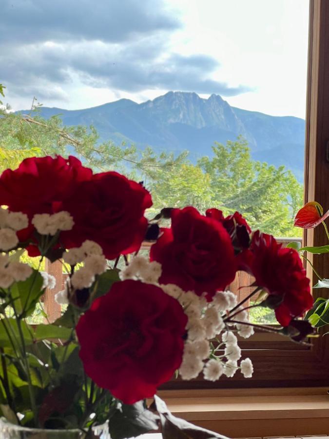 Domek Olczyski Zakopane Exterior foto